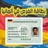 بطاقة الفرص في ألمانيا Chancenkarte Deutschland