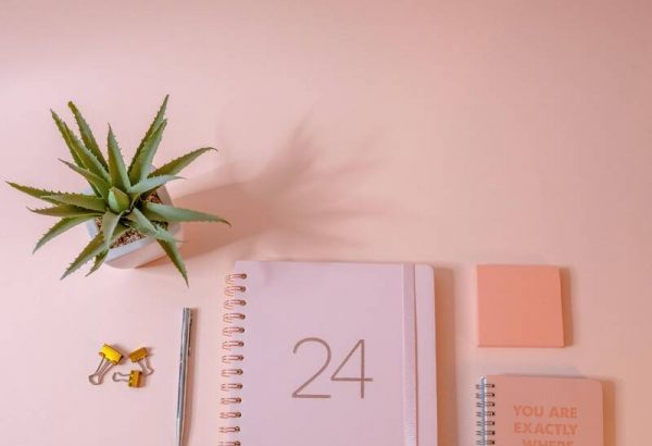 دليل شامل للتدريب المهني في المانيا لعام 2024