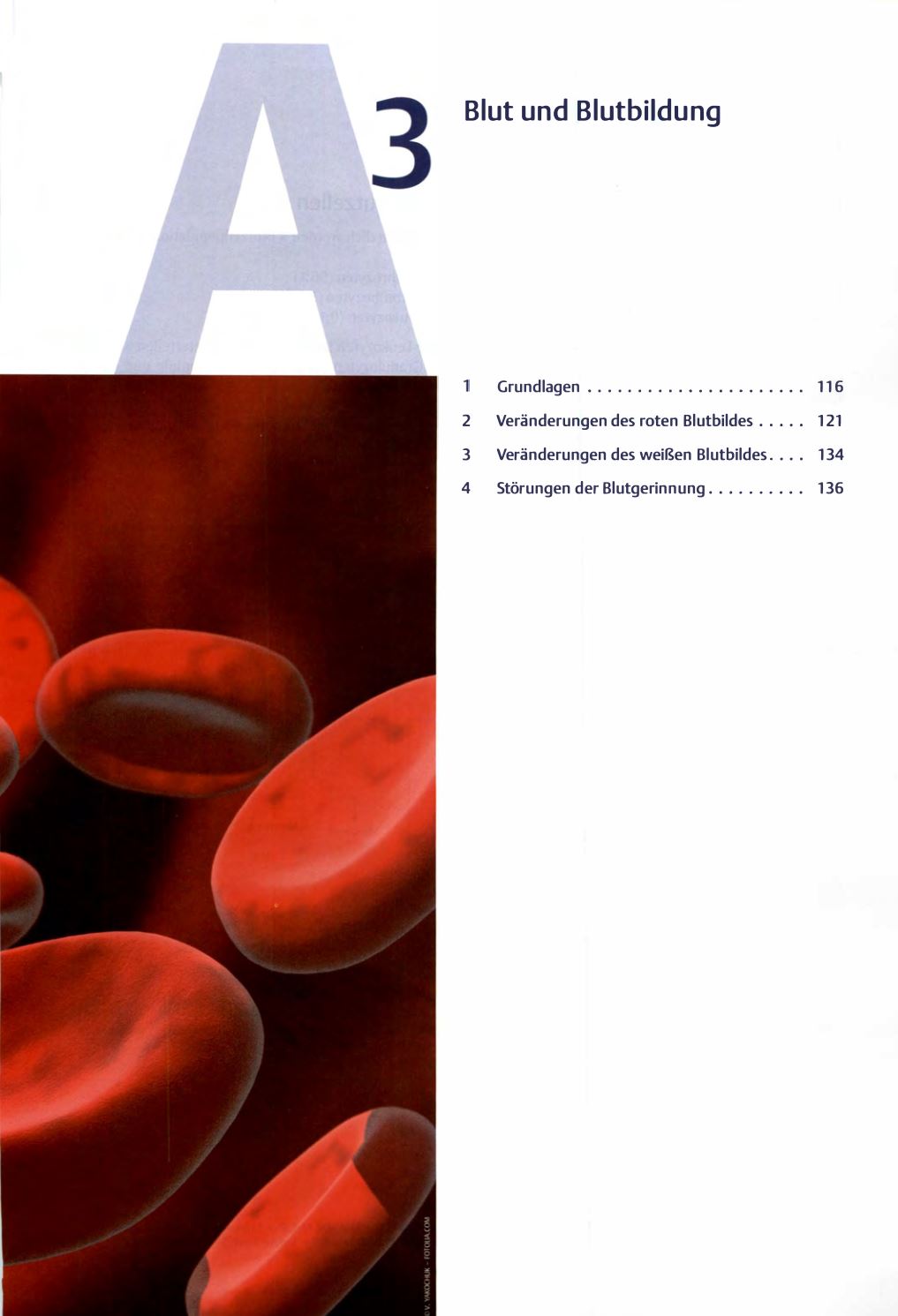 Allex – Alles fürs Examen