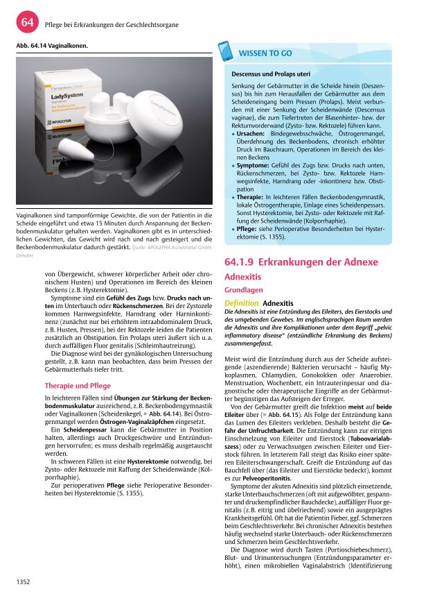 I care Pflege Buch PDF