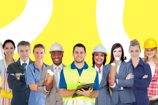 مهن الأوسبيلدونغ الأكثر طلبًا في ألمانيا